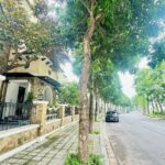 Biệt thư Vista Serena Nam An Khánh