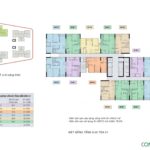 Mặt bằng thiết kế toà C1 Chung cư An Bình Homeland Dương Nội