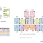 Mặt bằng thiết kế toà C2 C3 Chung cư An Bình Homeland Dương Nội